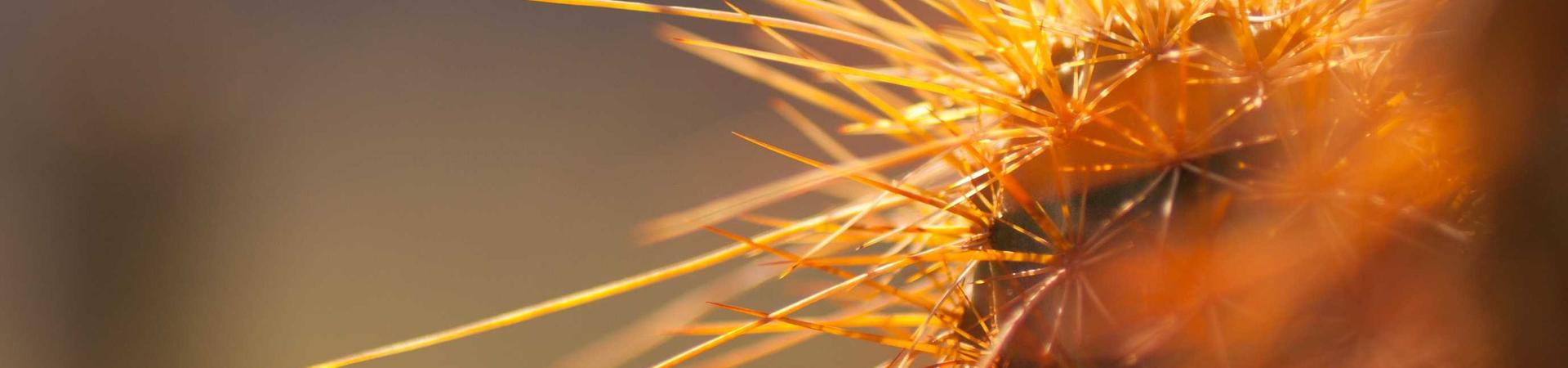 物聚再生资源回收有限公司 &middot; 自贡分公司